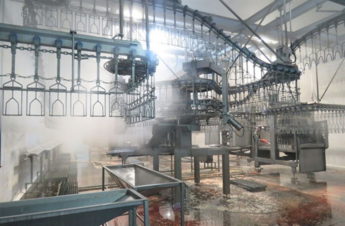 بهره برداری از کشتارگاه صنعتي طيور سپيد ماکيان با حمایت بانک کشاورزی بهره برداری از کشتارگاه صنعتي طيور سپيد ماکيان با حمایت بانک کشاورزی